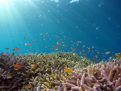 AI-powered ocean guide