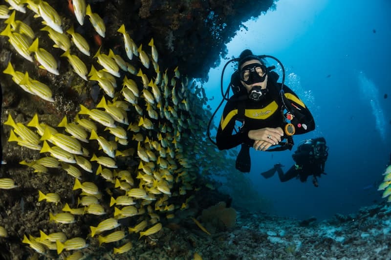 Marine biodiversity